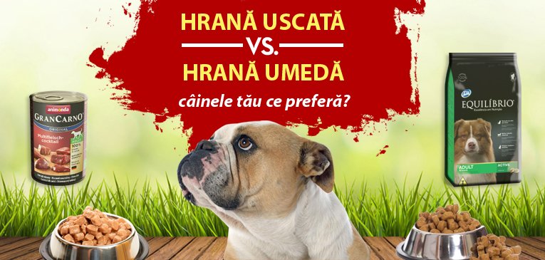 HRANA USCATA VS HRANA UMEDA. CAINELE TAU CE PREFERA?