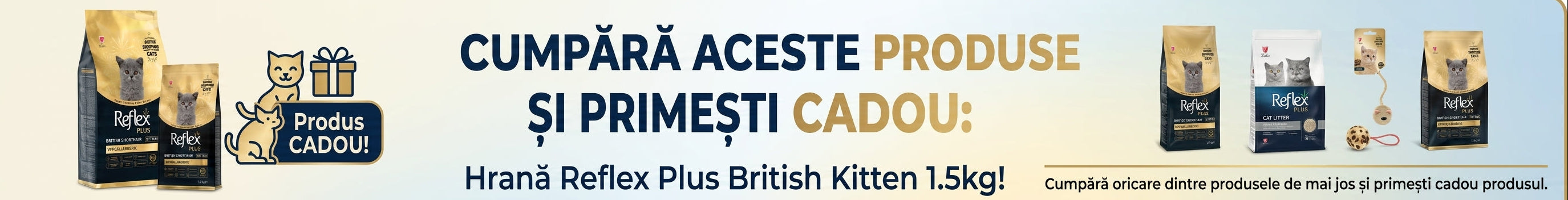 Promotii