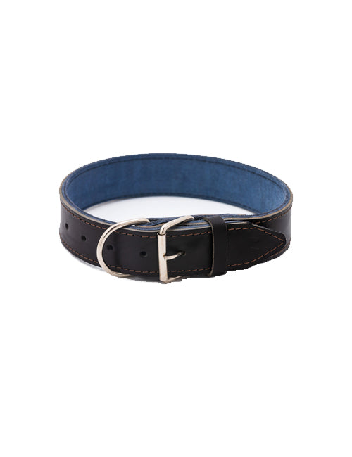Zgarda de piele pentru caini de talie foarte mare - 70cm x 4cm