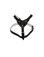 Ham caine, de piele, negru - 80-100cm talie / 3cm