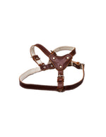 Ham pentru caini de talie medie, de piele, maroniu - 60-80cm / 2.5cm