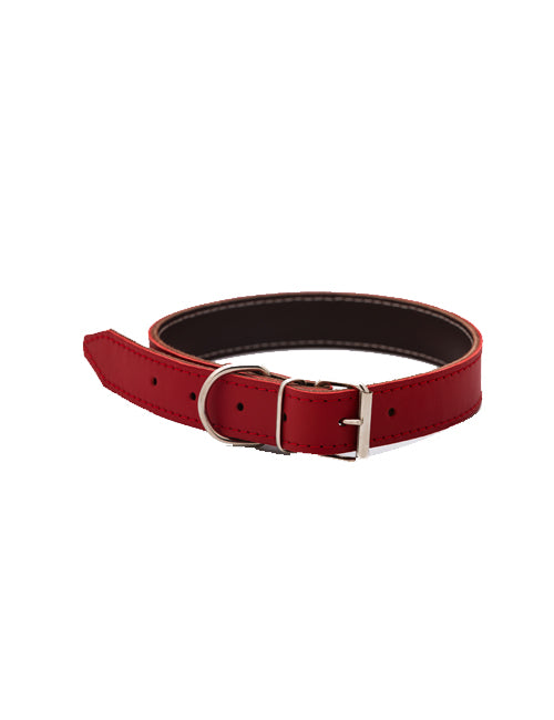 Zgarda de piele pentru caini de talie foarte mica - 32cm x 1.5cm
