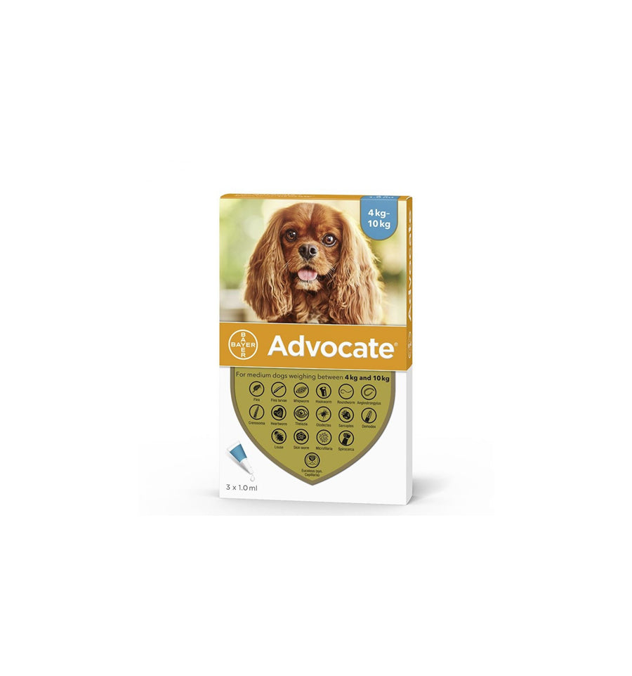 Antiparazitare Externa