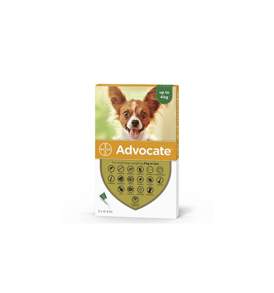 Antiparazitare Externa