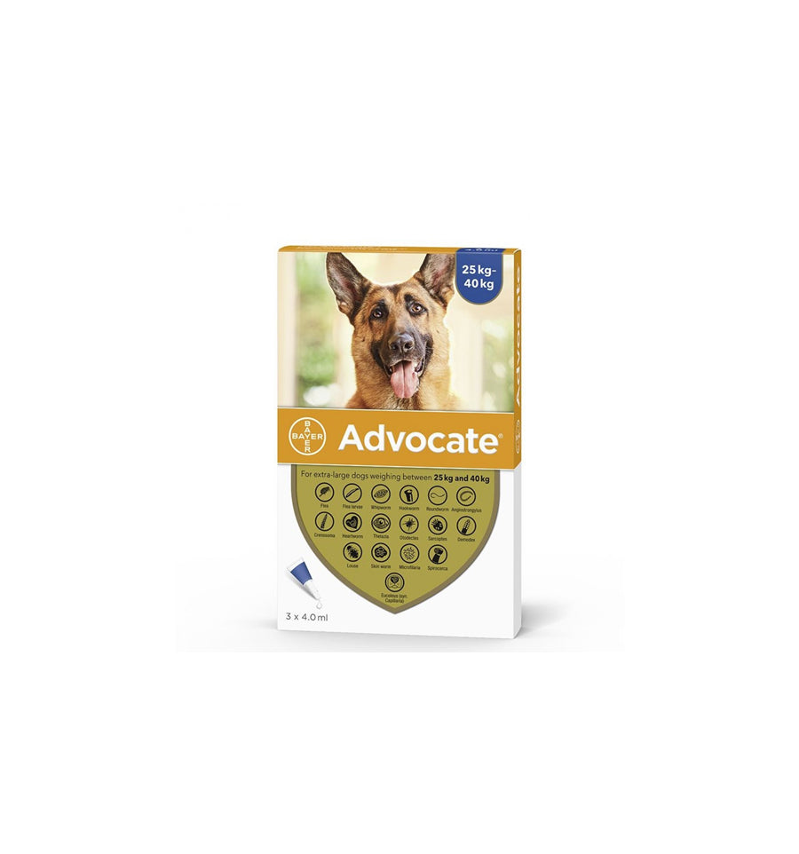 Antiparazitare Externa