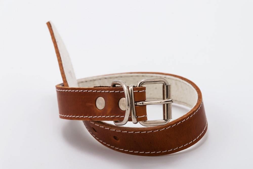 Zgarda de piele pentru caini de talie mare - 60cm x 3cm