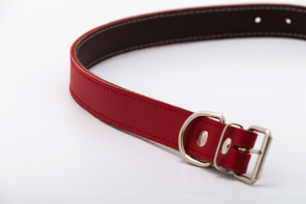 Zgarda de piele pentru caini de talie foarte mica - 32cm x 1.5cm