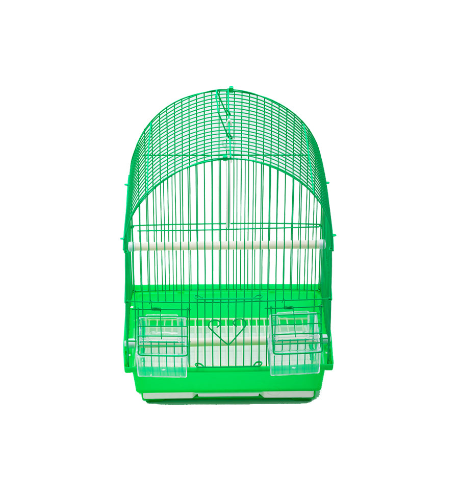 Colivie Pasari A100F