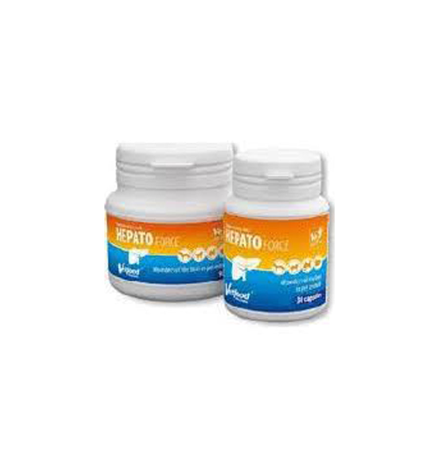 Hepato Force - 90 Capsule