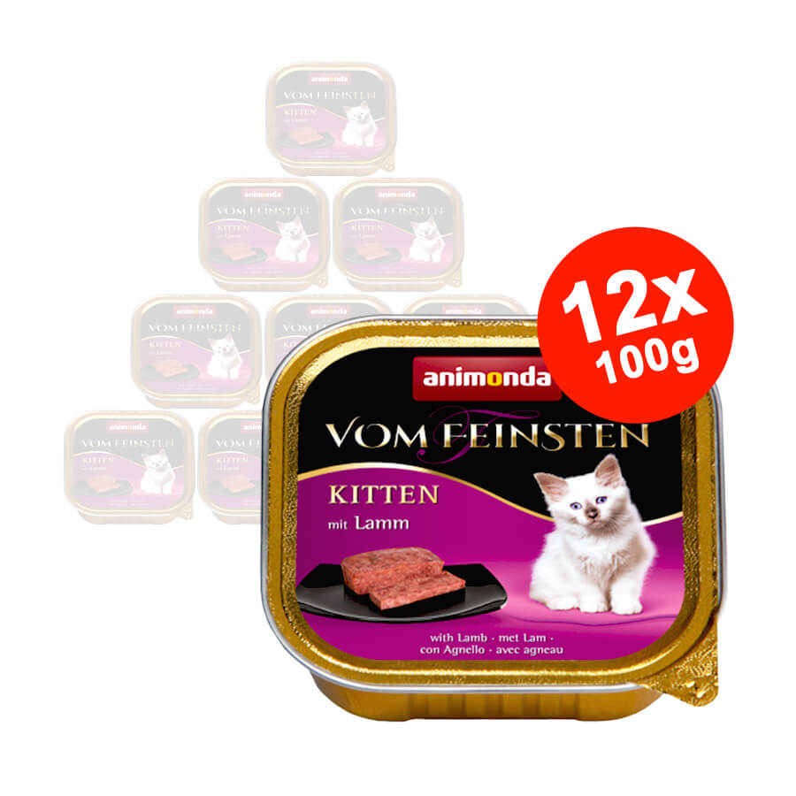Hrana umeda pentru pisici Vom Feinsten Junior Miel 12x100gr