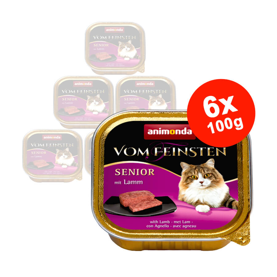 Hrana umeda pentru pisici Vom Feinsten Senior Miel 6x100gr