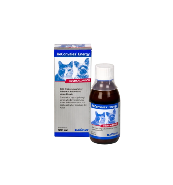 ReConvales Energy 180 ML