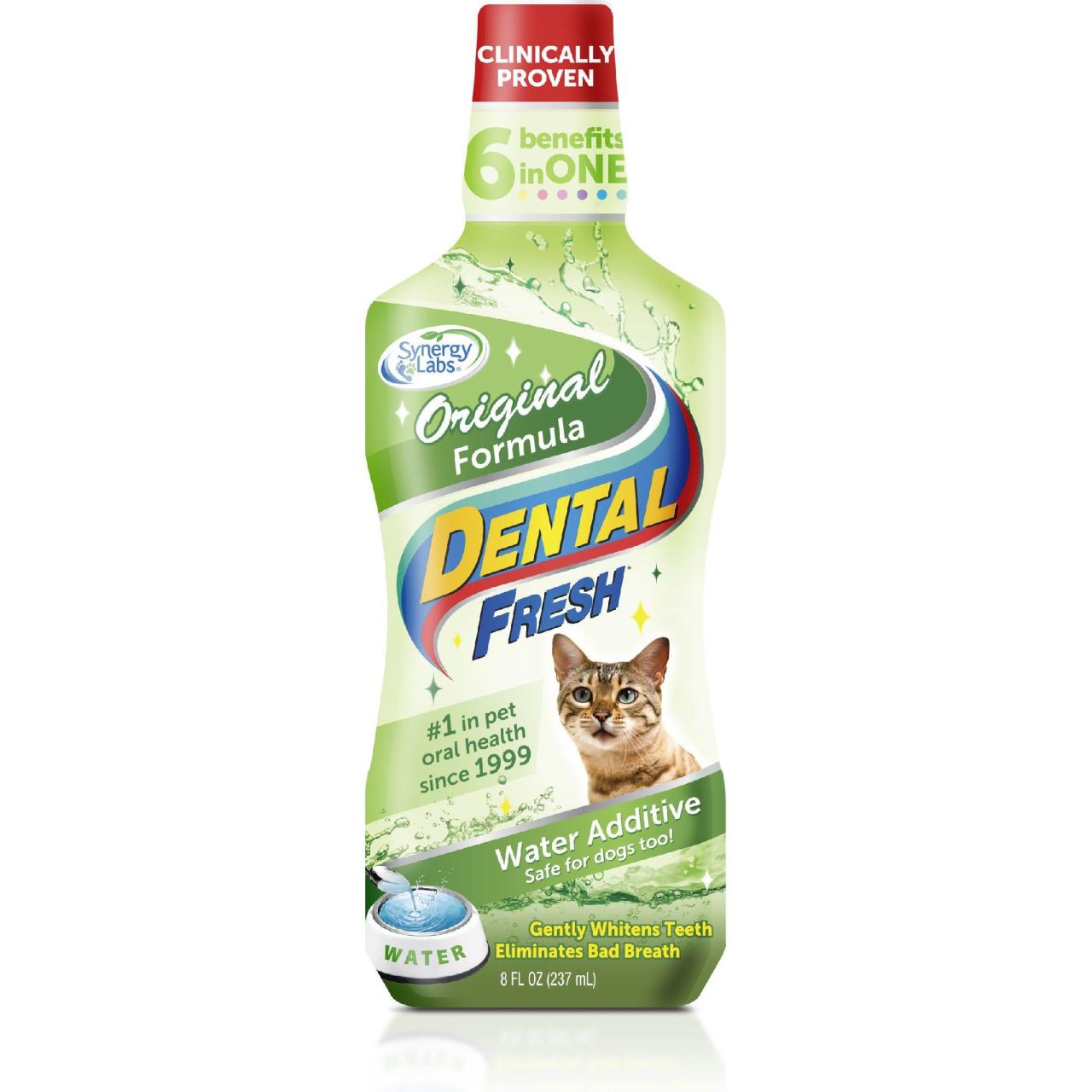 dental fresh pisici
