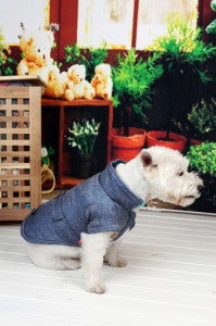 Geaca Dandy - Denim - M