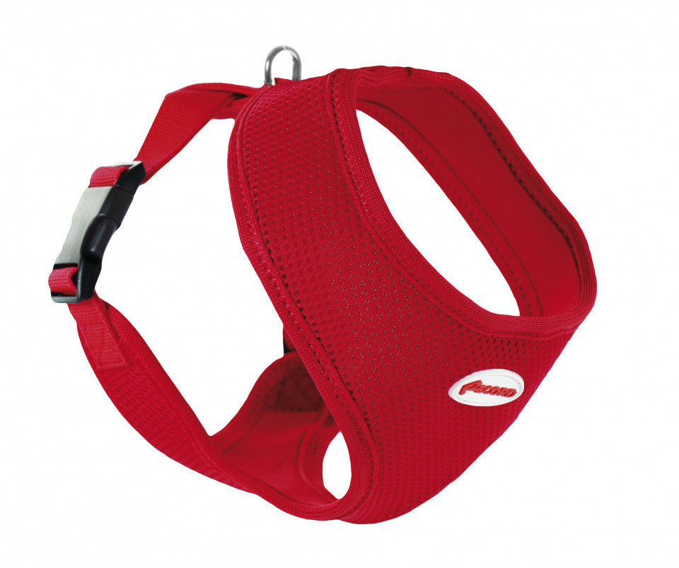 Comfort harness - S (belly 36-41cm) - Red