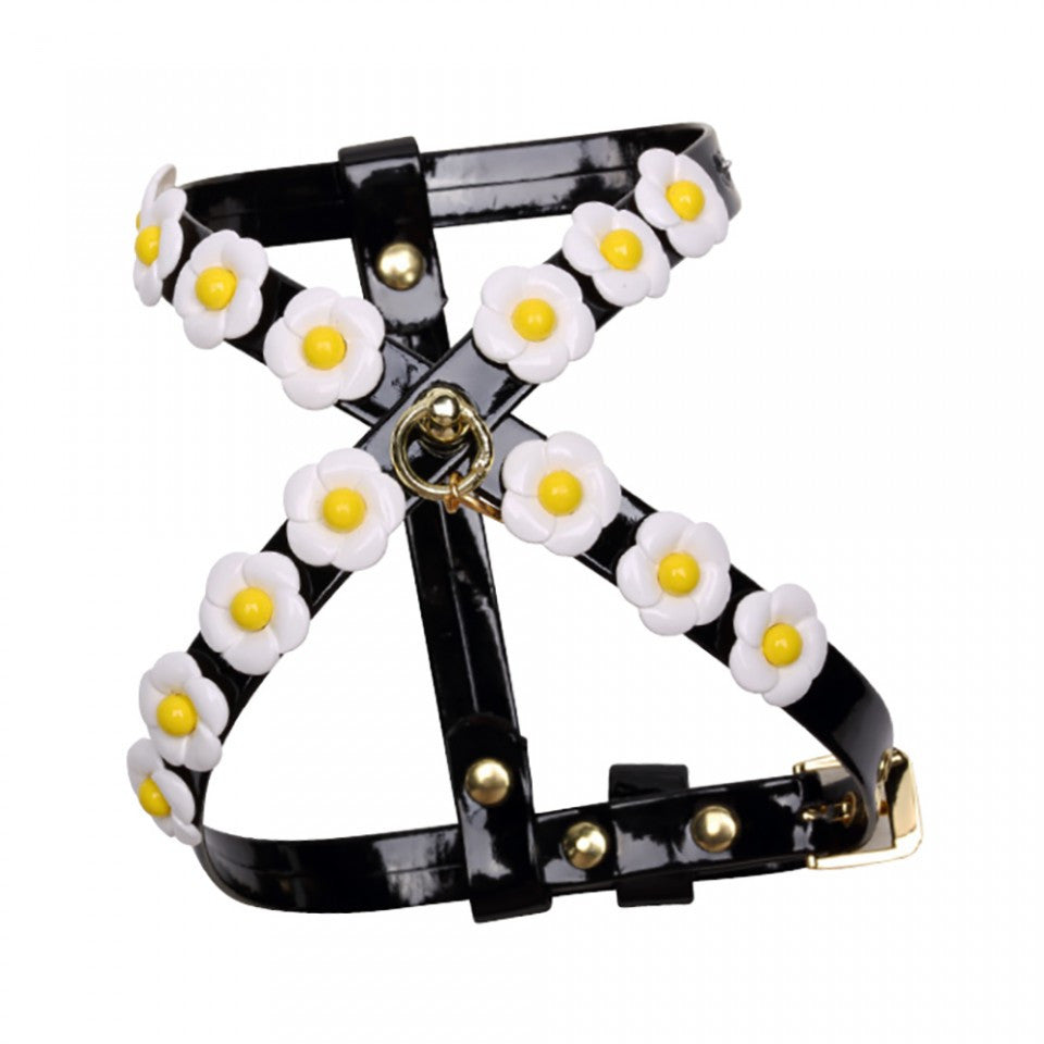 Daisy Harness - XXS - Black