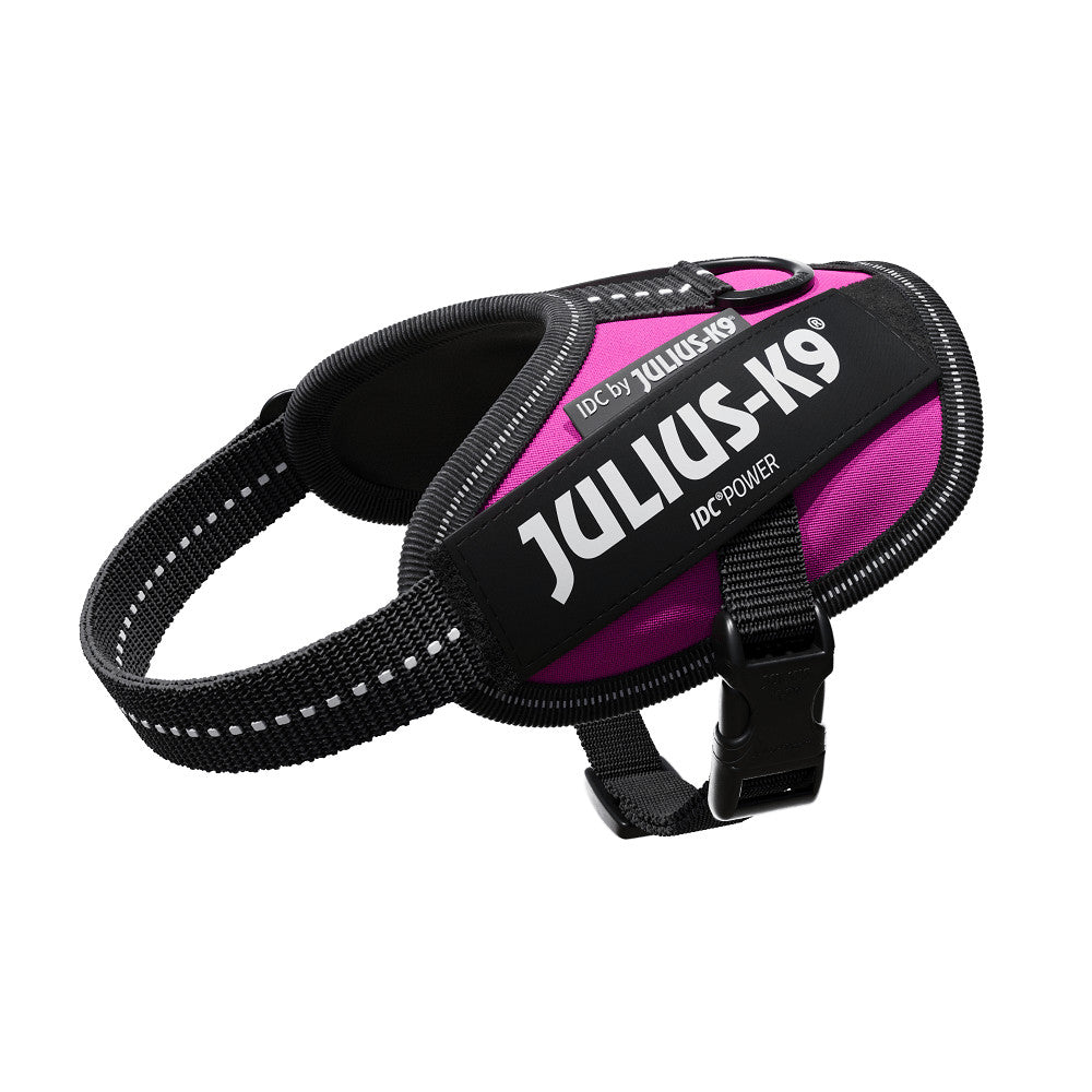 Ham JK9 IDC Power - 2XS - Roz inchis