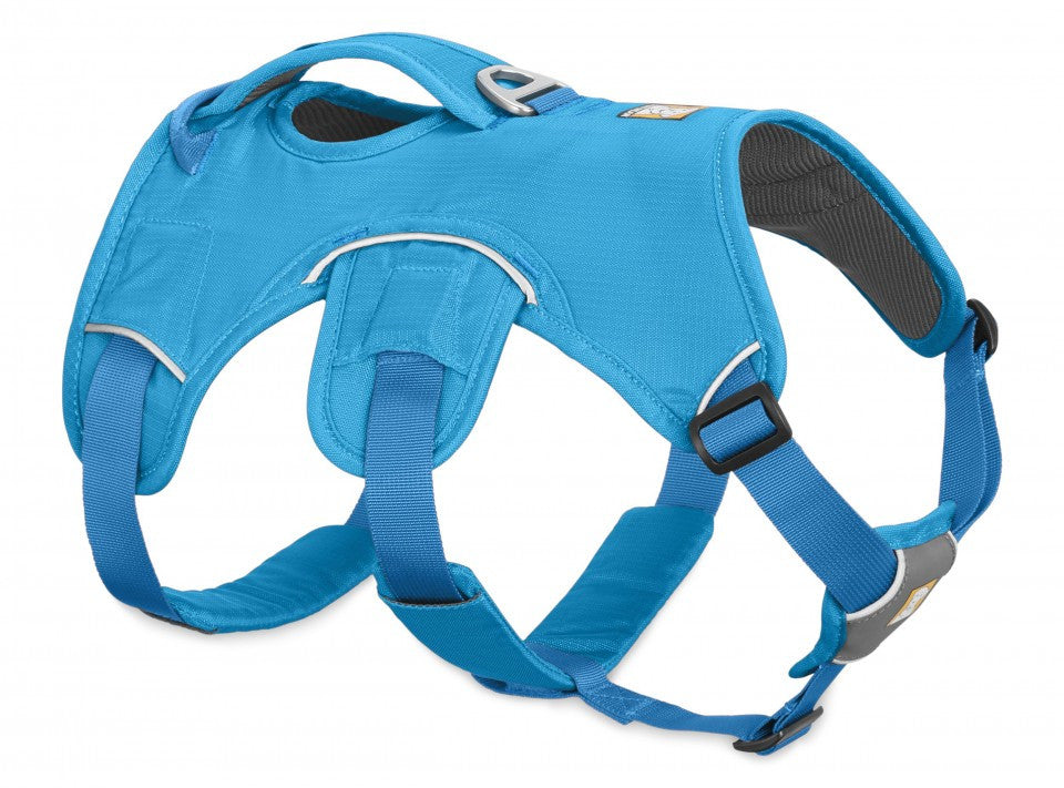 Ham Web Master Ruffwear - XXS - Blue Dusk
