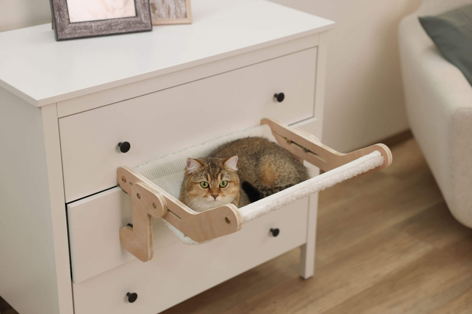 Hamac pisici - Nap