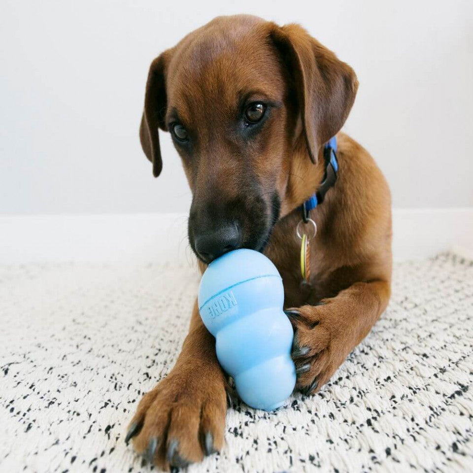 Jucarie Kong S - Puppy (8cm)