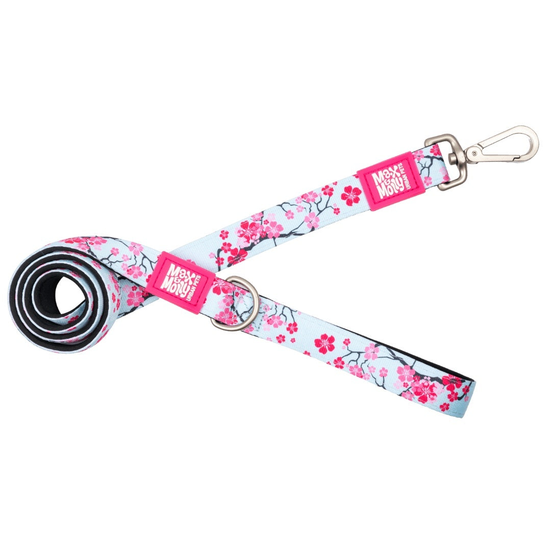 Lesa Max & Molly - M - Cherry Bloom