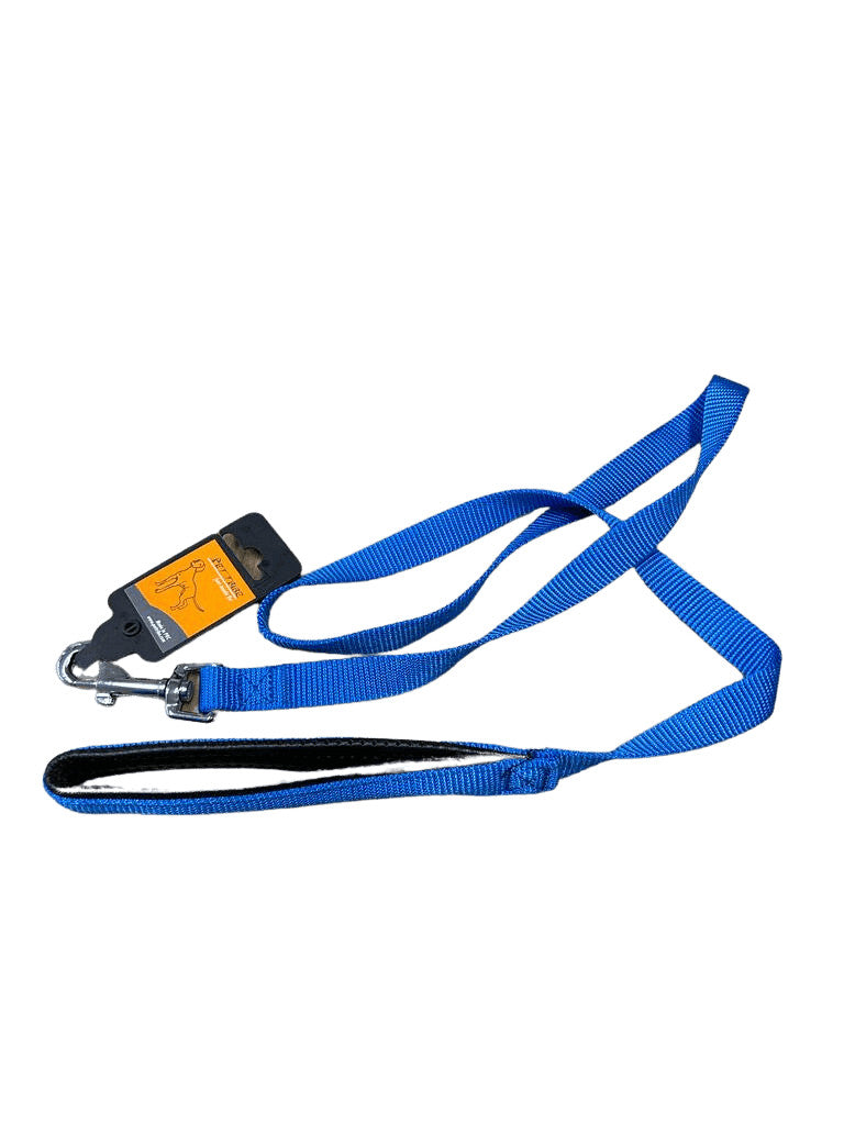 Lesa nylon cu maner captusit - 2.5cm - Albastru