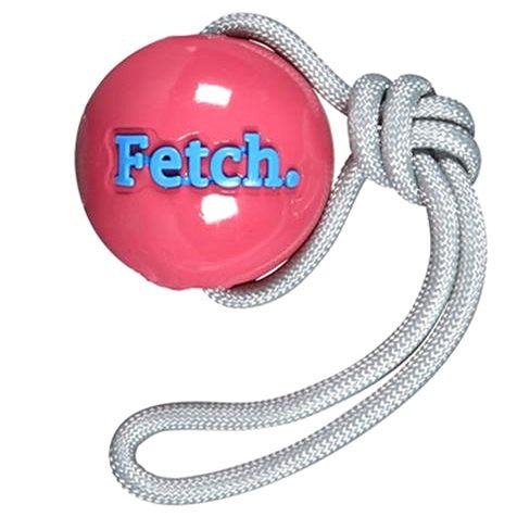PlanetDog Ball - Orbee Fetch - Pink