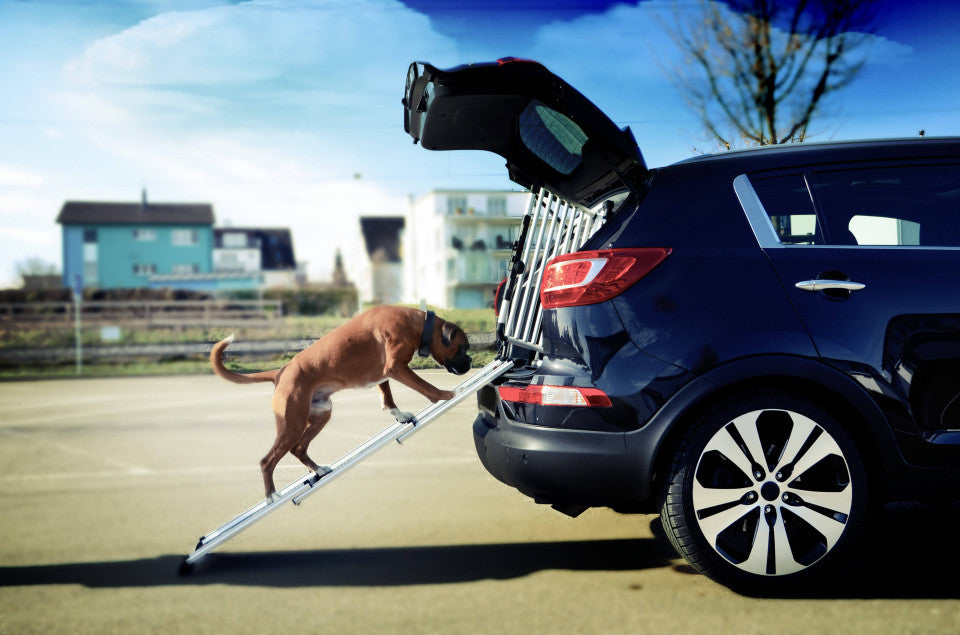 Rampa pentru caini 4pets EasySteps