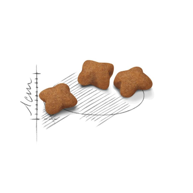 Mancare uscata pentru pisici Royal Canin Kitten 10 kg