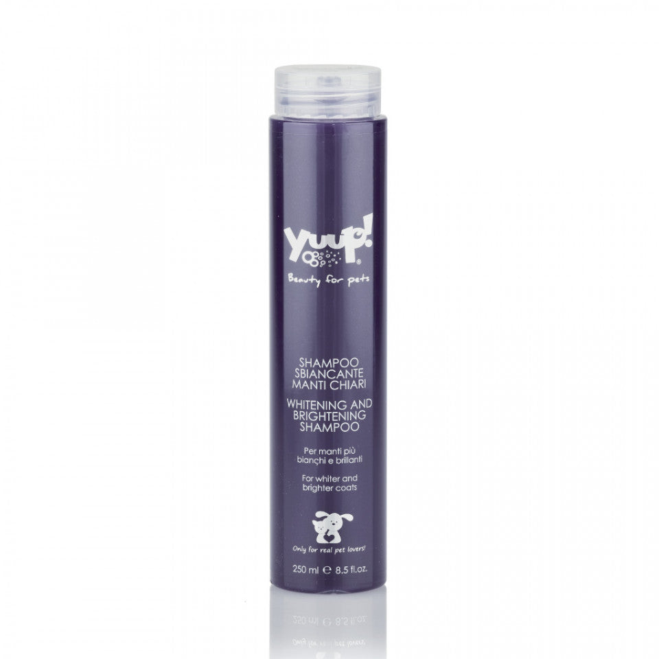 Sampon Yuup Home White - 250ml
