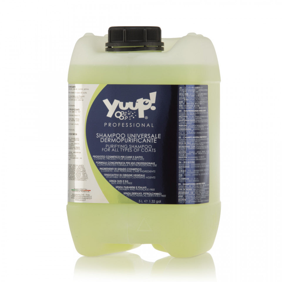 Sampon Yuup Professional Purificator