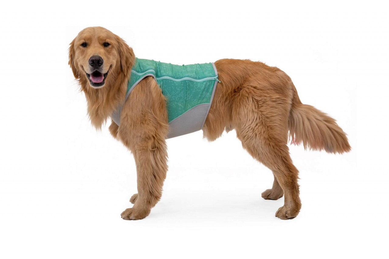 Ruffwear Swamp Cooler Cooling Vest - M - Blue Mist