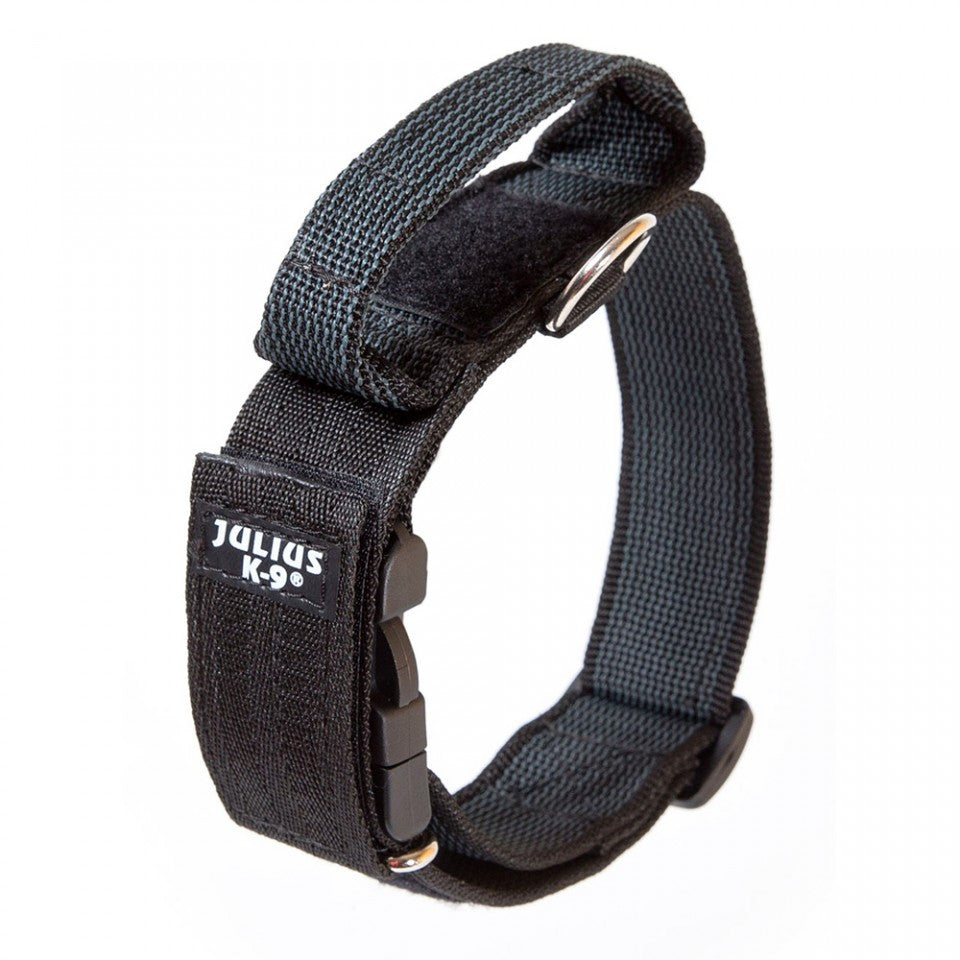 Julius K9 Collar with Handle, Nylon - 50mm - Grey