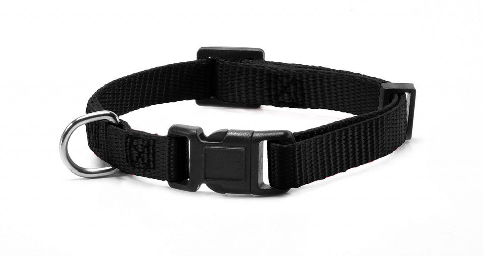 Zgarda nylon - 2.5 cm - Negru