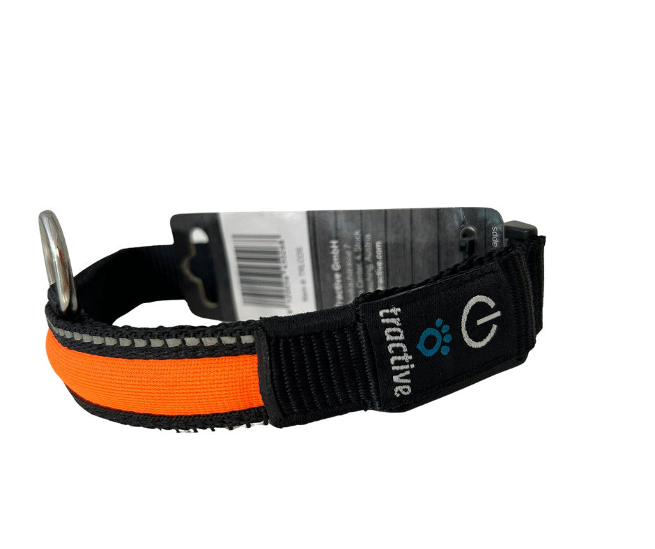 Nylon LED Collar - S - Orange
