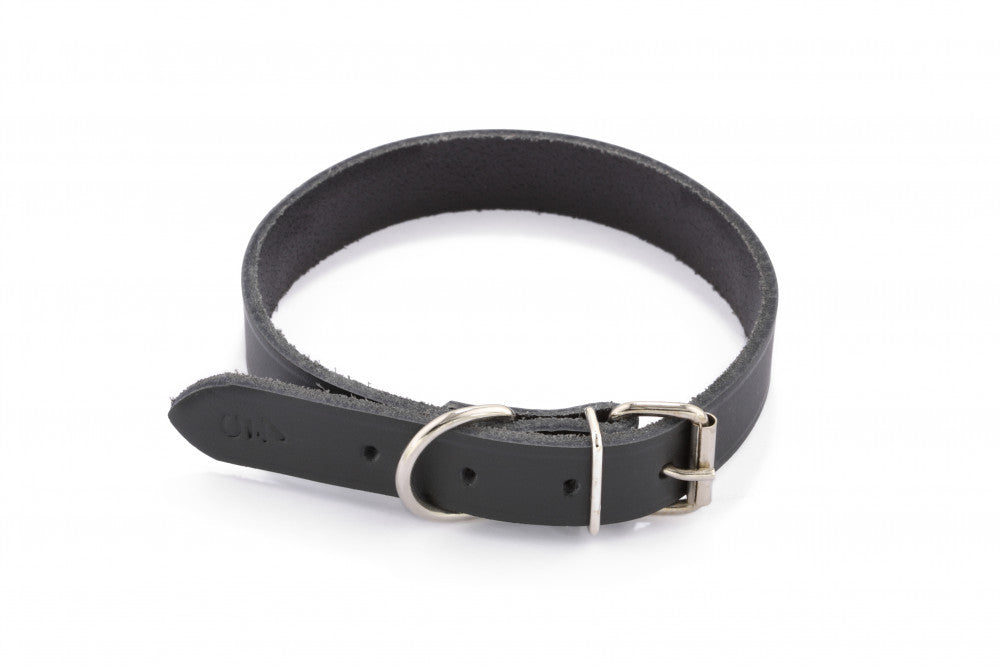 Zgarda piele DogTech - 40mmx60cm