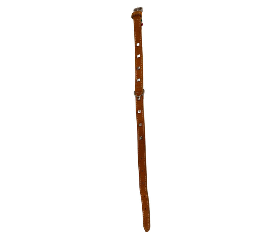 Zgarda piele, tinte - 55cm - Portocaliu
