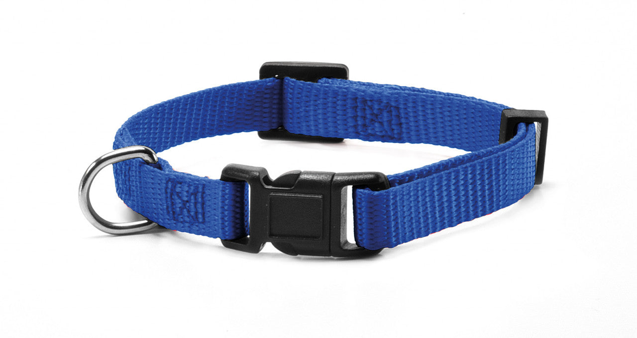 Zgarda reglabila, nylon - S - Albastru